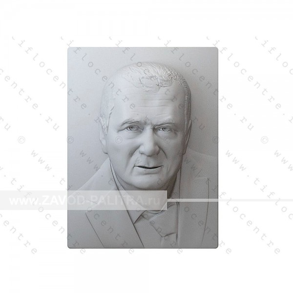 Портрет 3D Жириновский В.В.,тактильный Доставка