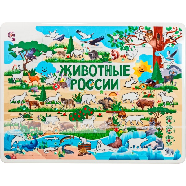 «Животные России» с индукц. системой 840x640мм Купить
